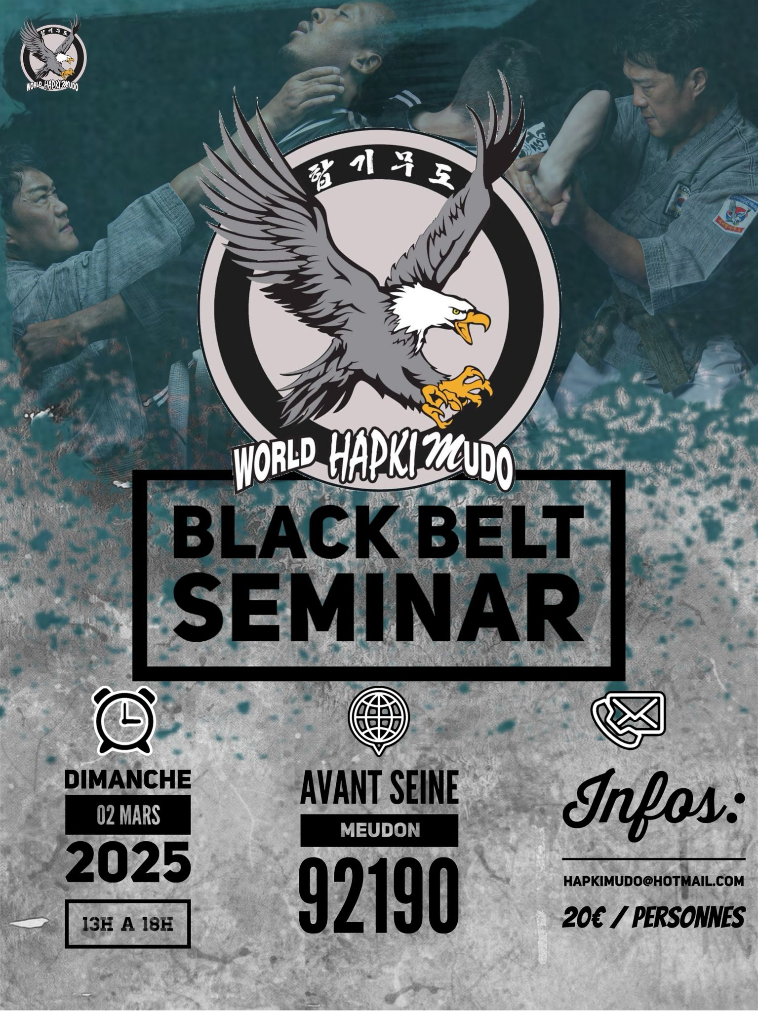 SEminaire Hapkimudo Black Belt à Meudo Le 5 MARS 2025