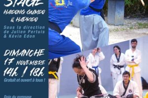 17 nov. 2024 : Stage Haidong Gumdo et Hapkido